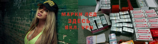 PSILOCYBIN Ладушкин