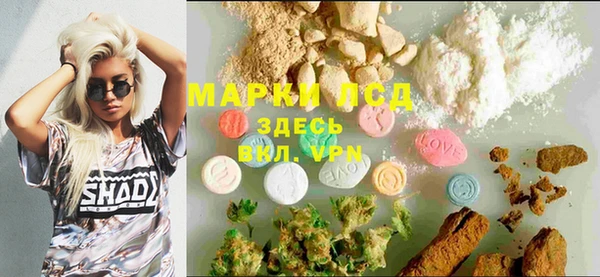 PSILOCYBIN Ладушкин
