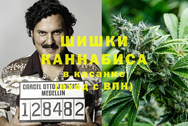 PSILOCYBIN Ладушкин
