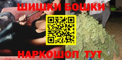 шишки Аргун