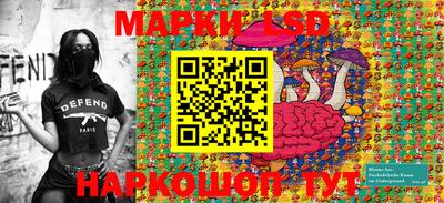 шишки Аргун