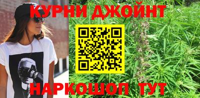 шишки Аргун
