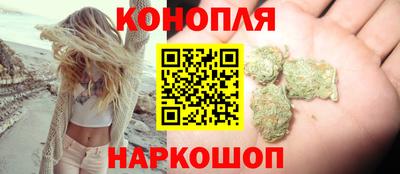 шишки Аргун