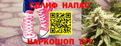 шишки Аргун