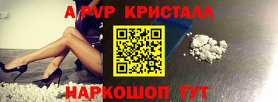 шишки Аргун