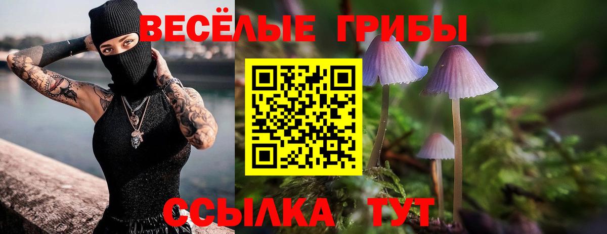Псилоцибиновые грибы мухоморы  Псилоцибиновые грибы Psilocybine cubensis  Березники  Вход с VPN 