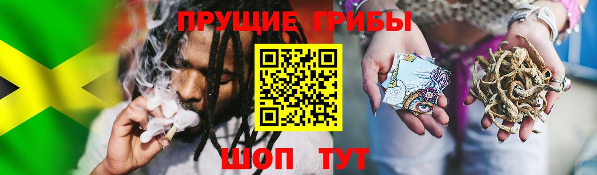 Галлюциногенные грибы Magic Shrooms  Псилоцибиновые грибы Psilocybe  Березники 